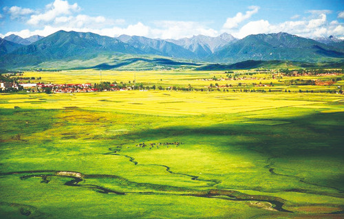 青海海东:“文旅 +” 多元融合激活发展新动能 绘就富民兴市新图景(图5) 青海海东:“文旅 +” 多元融合激活发展新动能 绘就富民兴市新图景(图5)