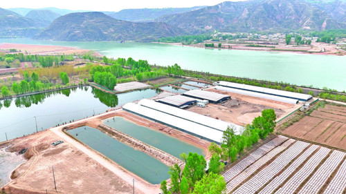 青海海东商贸发展跑出“加速度” 商贸经济交出亮眼答卷(图3) 青海海东商贸发展跑出“加速度” 商贸经济交出亮眼答卷(图3)