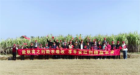 助农归来心欢喜—— 小记平安保险周方芹团队爱心助农活动(图2)