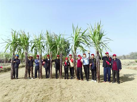 助农归来心欢喜—— 小记平安保险周方芹团队爱心助农活动(图4)