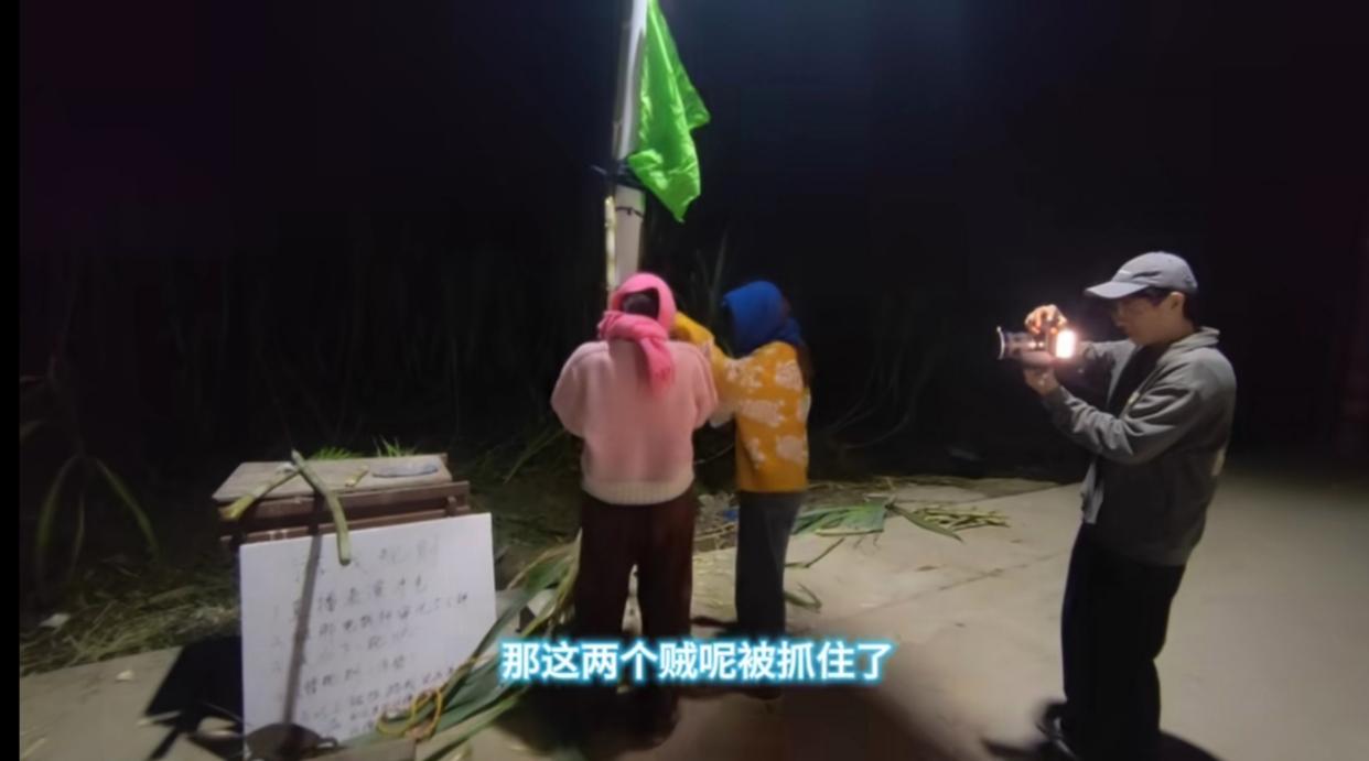 “可偷甘蔗地”多地爆火，浙江首创者：比往年传统售卖增收4倍，被农业局邀请做推广