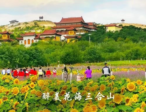 魂飞何处还故土——追忆伯父张鹤卿(图9)