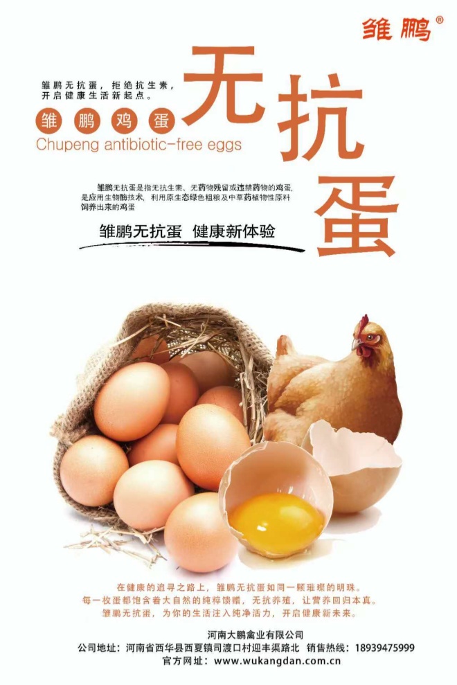 一枚“无抗蛋”的初心与担当(图2) 9.jpg