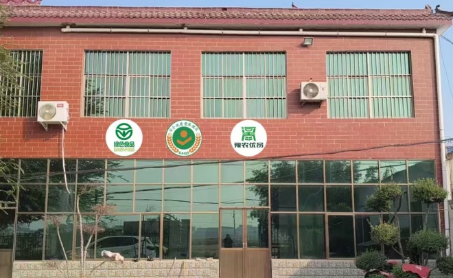 一枚“无抗蛋”的初心与担当(图7) 7.jpg